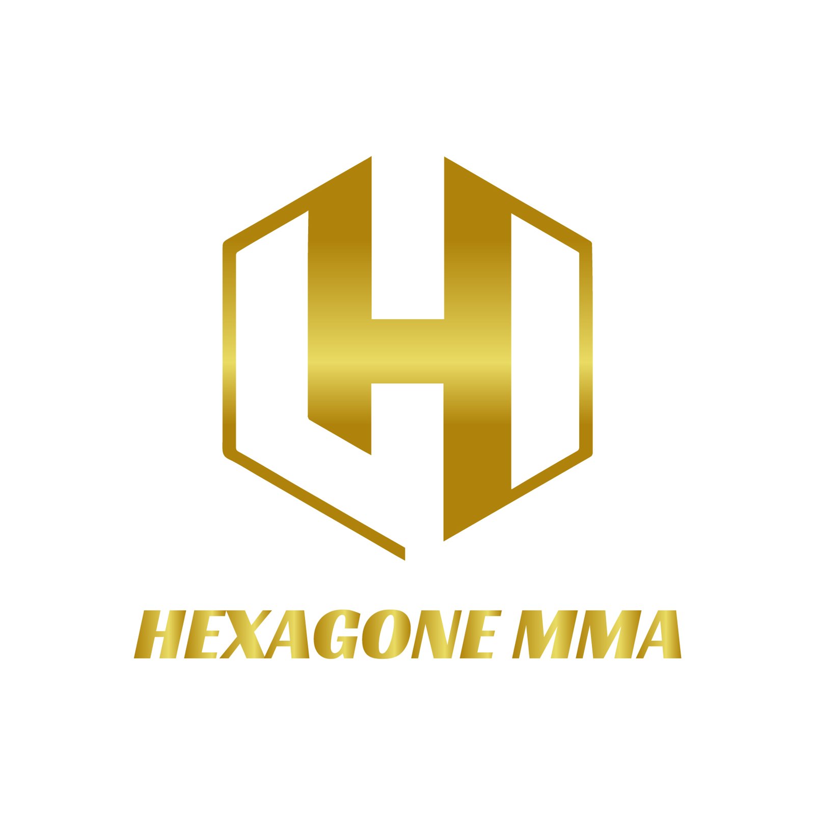 Hexagone MMA